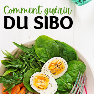 comment guérir du sibo