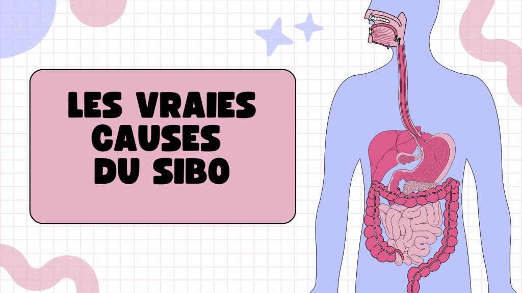 Les vraies causes du SIBO : symptômes, origines et impact sur votre santé