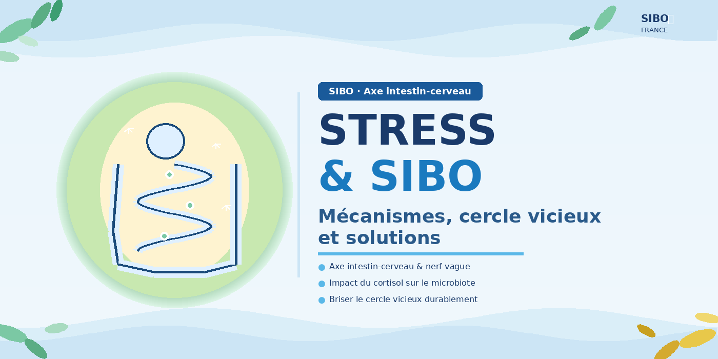 cover-stress-sibo