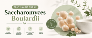 crée une cover pour mon prochain article : Tout savoir sur le Saccharomyces Boulardii